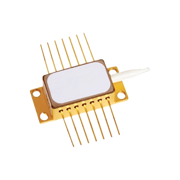What does BH mean in optical module 
