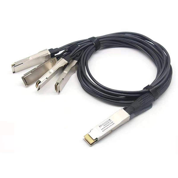 Fiber optic ring network switch 2 optical layer 2