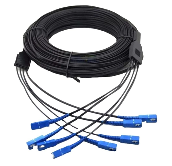 What type of fiber optic connection does the SAN switch have