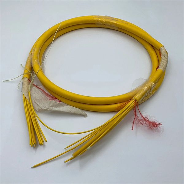 IBM Fiber Optic Switch Management Port