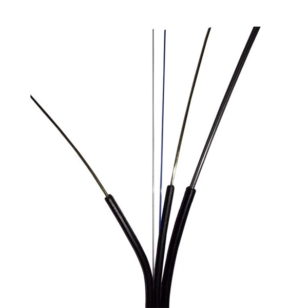 Optical Module Industry Brands
